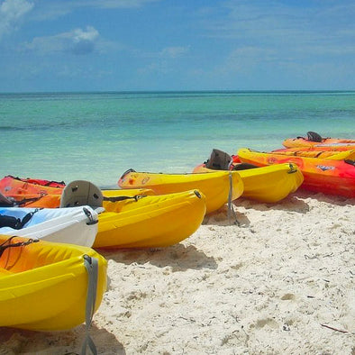 Secure your Kayak or Tinny with a Screw in Sand Anchor