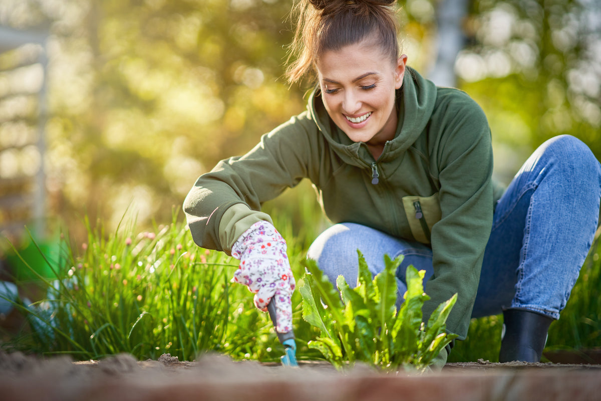 Home Landscaping