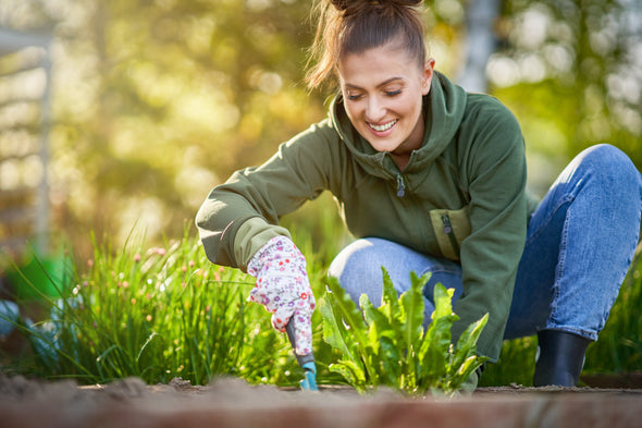 Home Landscaping