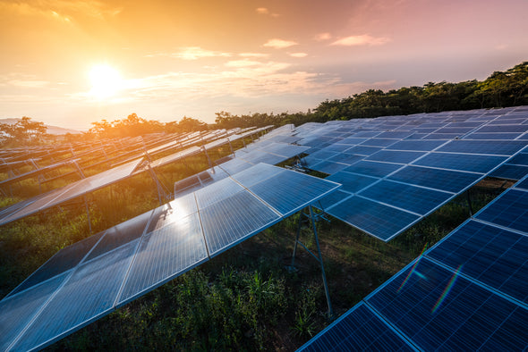 Solar Farms