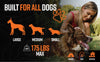 Grounded Paws Dog Tie Out & Run Kit